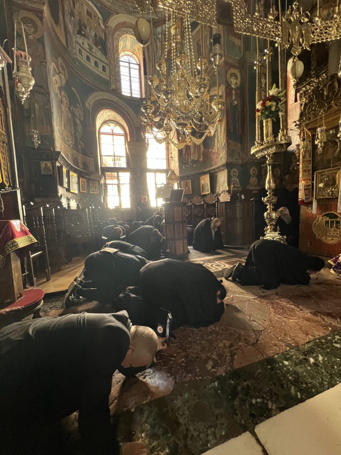 Img 3315 1536x2048 1